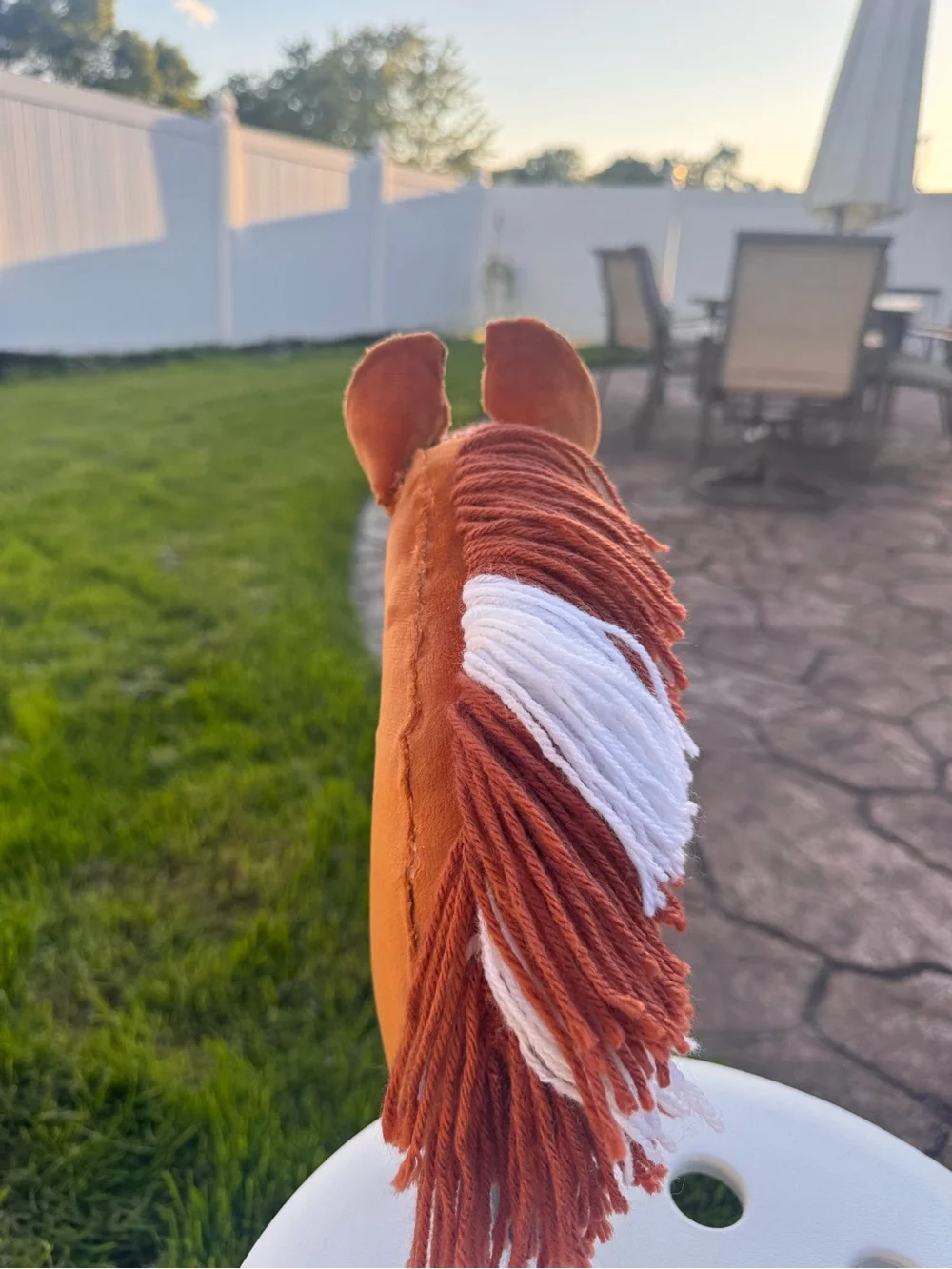 Hobby horse- “FSS Just Keep Swimming” AKA Nemo